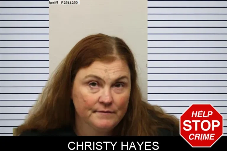 Christy Hayes mugshot – Chatham County , Georgia Christy Hayes