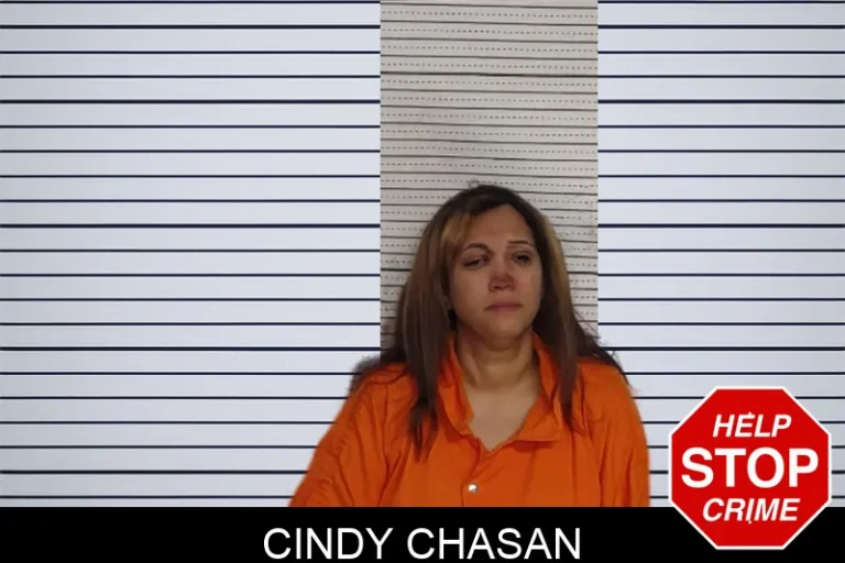 Cindy Chasan mugshot – Rockdale County , Georgia Cindy Chasan