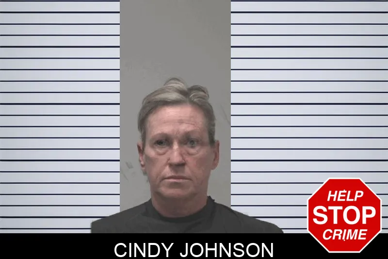 Cindy Johnson Mugshots