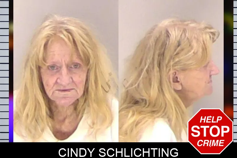 Cindy Schlichting mugshot – Richmond County , Georgia Cindy Schlichting mugshot