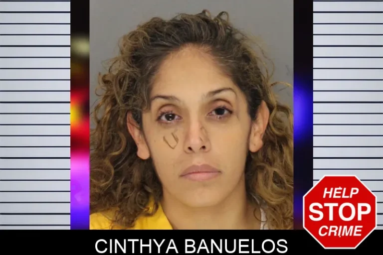 Cinthya Banuelos mugshot – Cobb County , Georgia Cinthya Banuelos