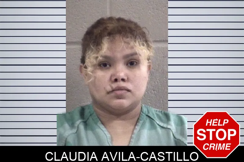 Claudia Avila-Castillo Mugshots