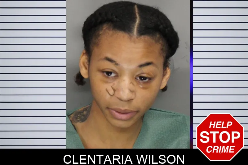 Clentaria Wilson mugshot