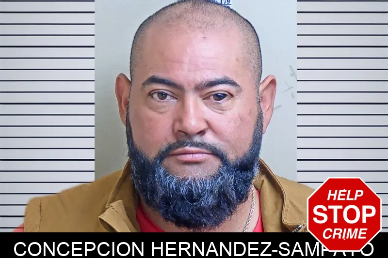 Concepcion Hernandez-Sampayo mugshot – Gwinnett County , Georgia Concepcion Hernandez-Sampayo mugshot