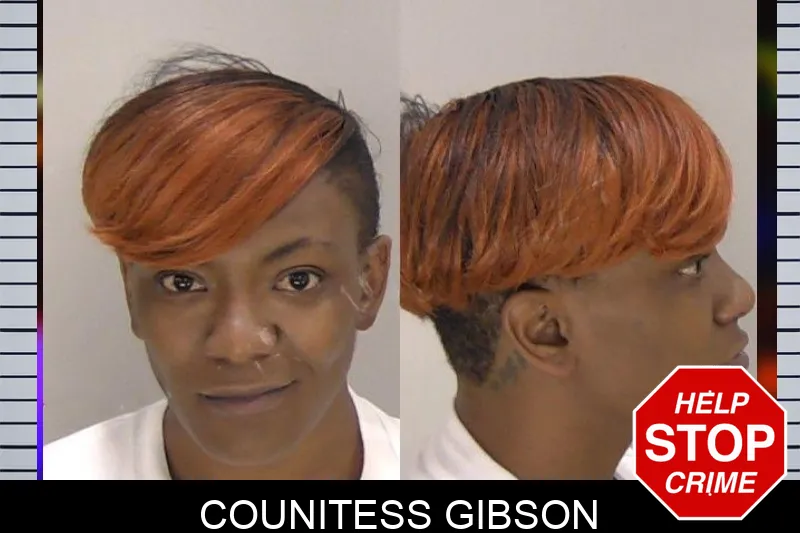 Counitess Gibson mugshot