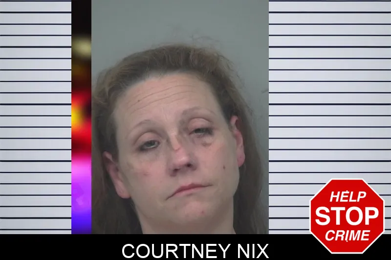 Courtney Nix mugshot – Gwinnett County , Georgia Courtney Nix mugshot