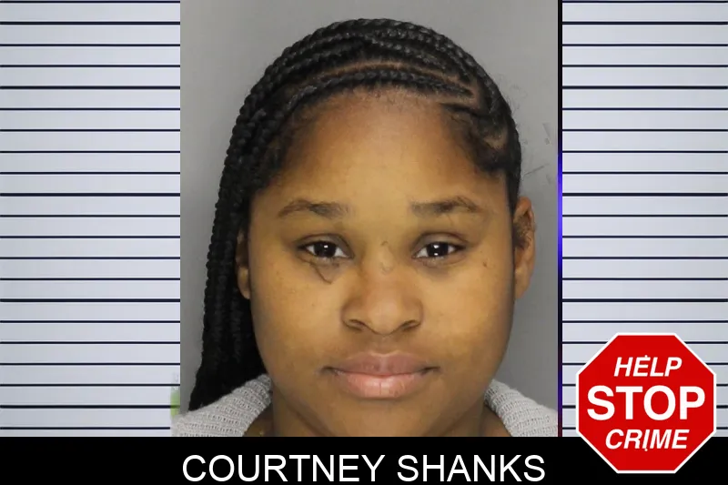 Courtney Shanks mugshot – Cobb County , Georgia Courtney Shanks mugshot