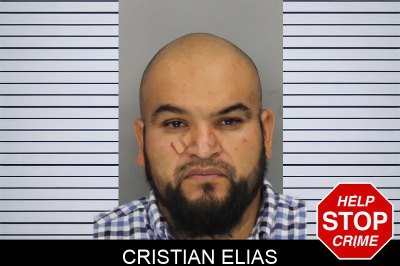 Cristian Elias mugshot