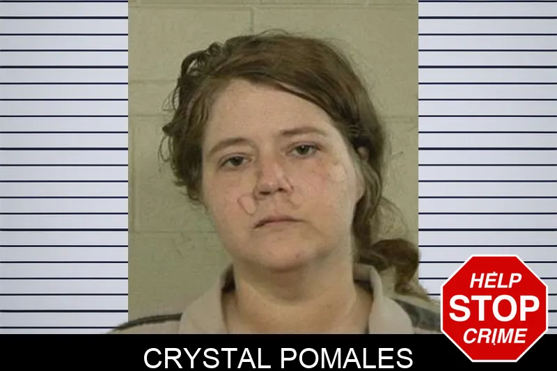 Crystal Pomales