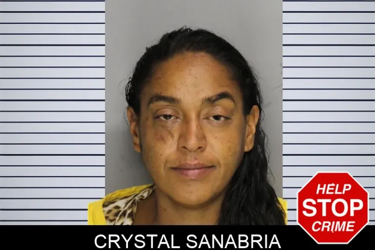 Crystal Sanabria mugshot – Cobb County , Georgia Crystal Sanabria