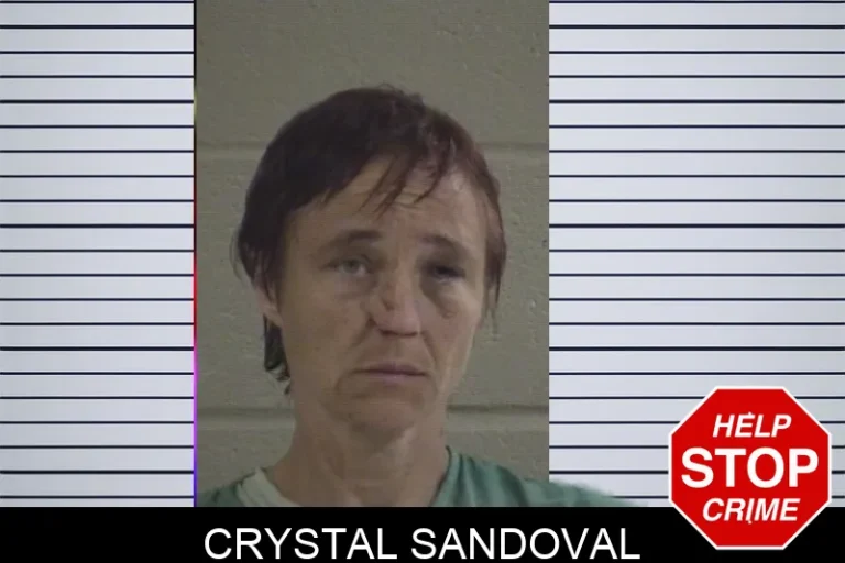 Crystal Sandoval mugshot – Whitfield County , Georgia Crystal Sandoval