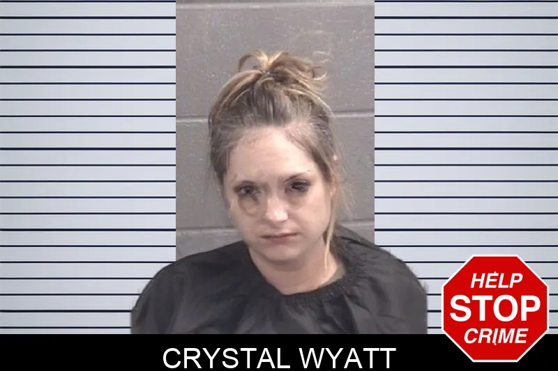 Crystal Wyatt mugshot – Spalding County , Georgia Crystal Wyatt mugshot