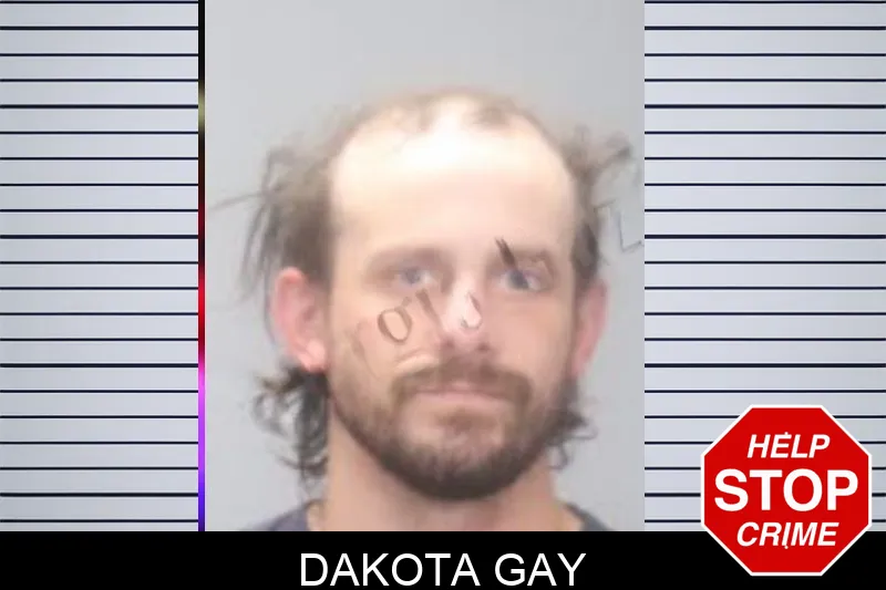 Dakota Gay