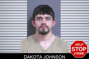 Dakota Johnson mugshot