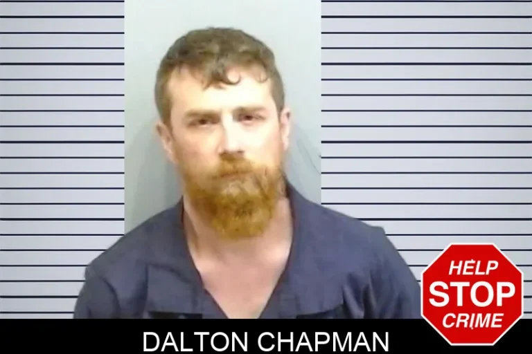 Dalton Chapman