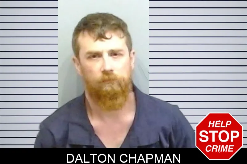Dalton Chapman mugshot – Fulton County , Georgia Dalton Chapman mugshot