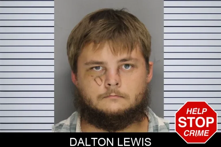 Dalton Lewis mugshot – Cobb County , Georgia Dalton Lewis