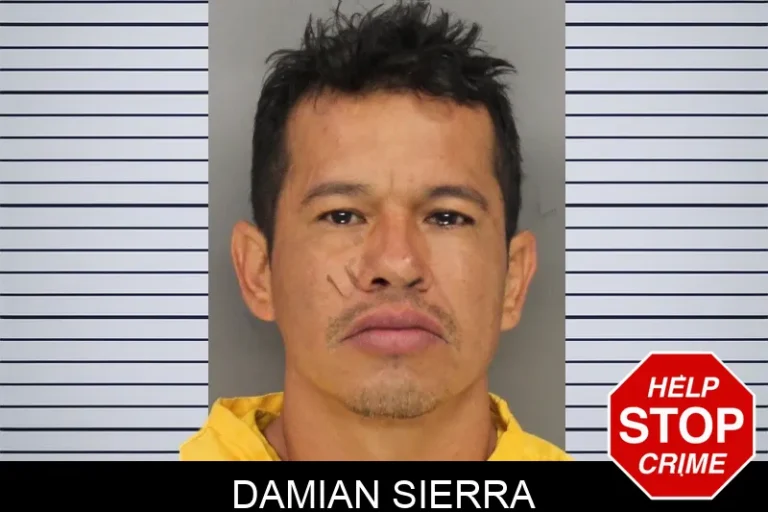 Damian Sierra mugshot β Cobb County , Georgia Damian Sierra