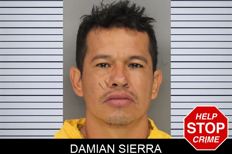 Damian Sierra mugshot