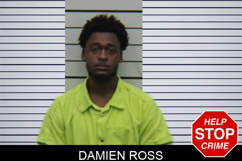 Damien Ross Mugshots