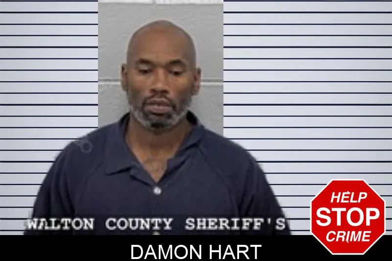 Damon Hart
