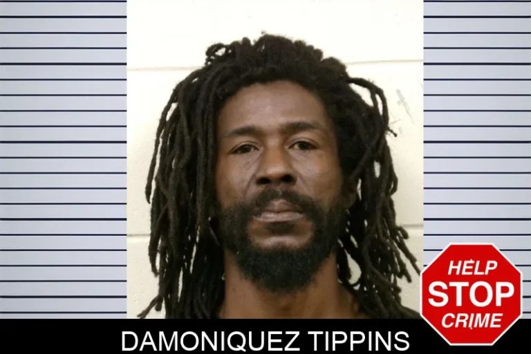 Damoniquez Tippins