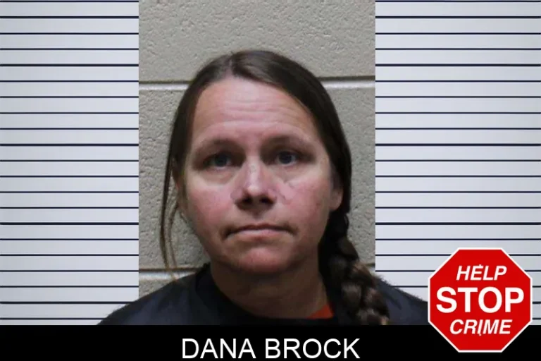 Dana Brock mugshot – Haralson County , Georgia Dana Brock