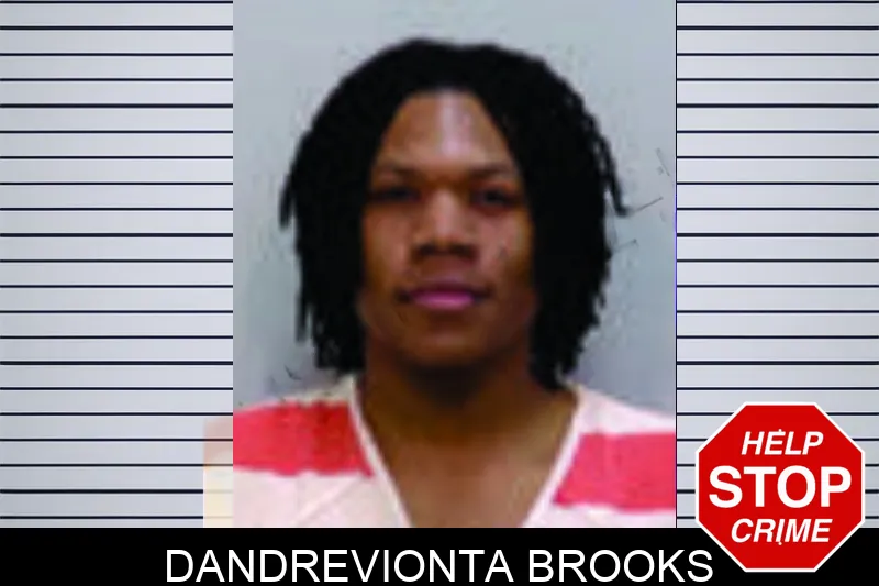 Dandrevionta Brooks