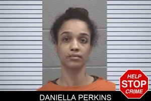 Daniella Perkins mugshot