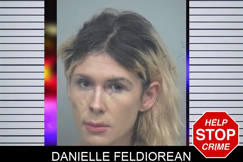 Danielle Feldiorean mugshot