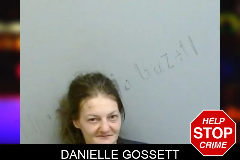 Danielle Gossett Mugshots