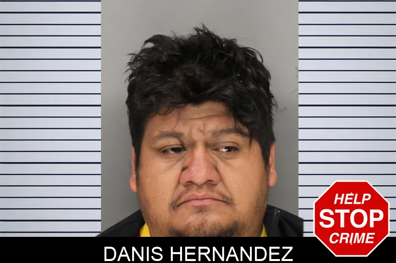 Danis Hernandez mugshot