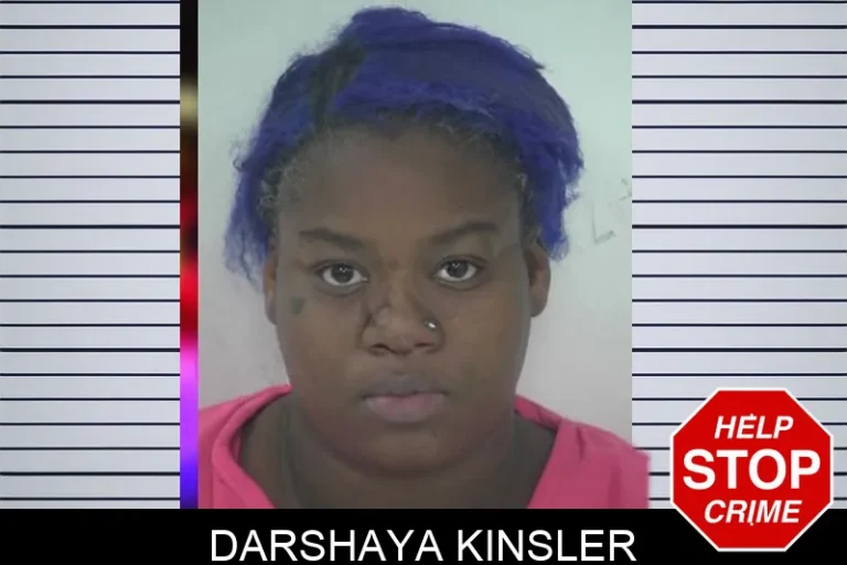 Darshaya Kinsler mugshot – Fayette County , Georgia Darshaya Kinsler