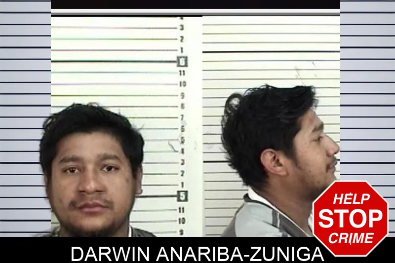 Darwin Anariba-Zuniga