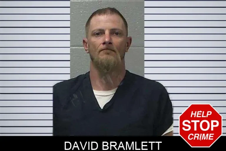 David Bramlett