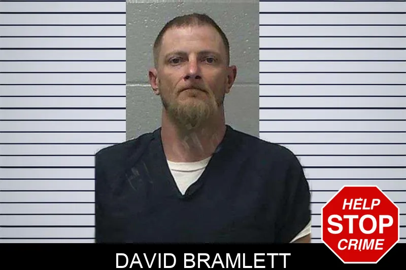 David Bramlett