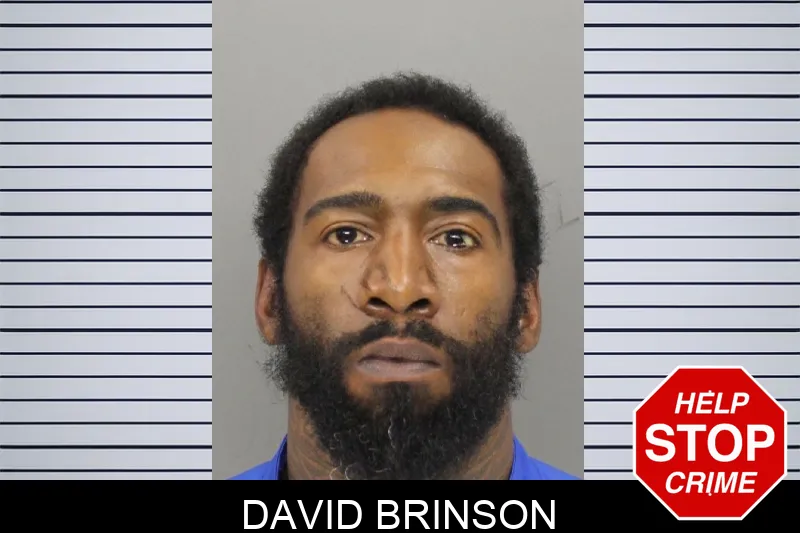 David Brinson mugshot