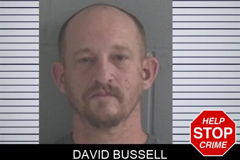 David Bussell