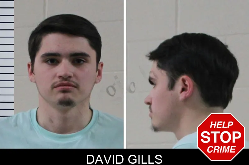 David Gills