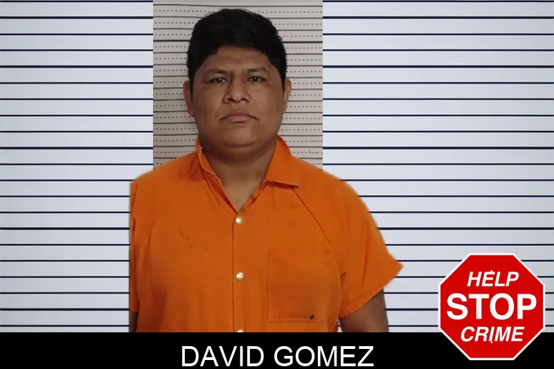 David Gomez