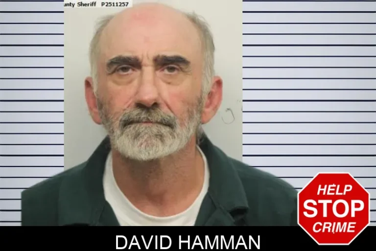 David Hamman