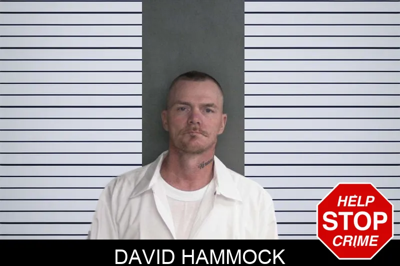 David Hammock Mugshots