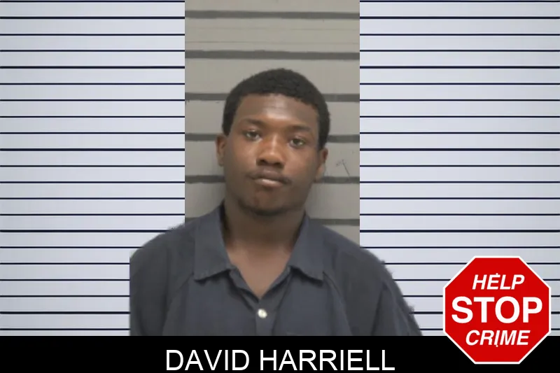 David Harriell Mugshots