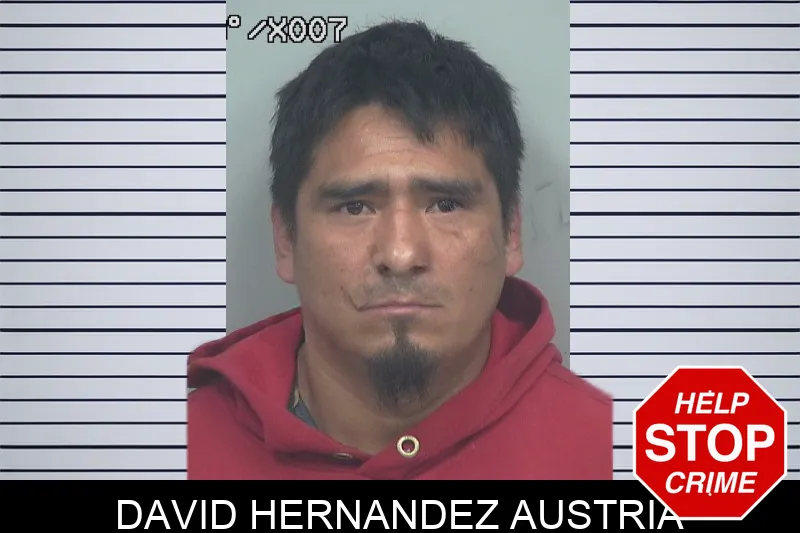 David Hernandez Austria Mugshots