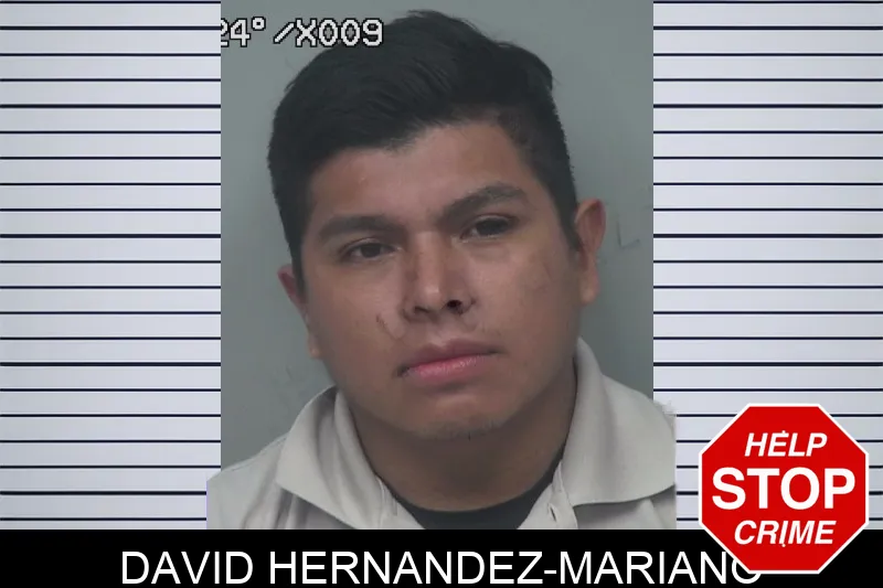 David Hernandez-Mariano mugshot – Gwinnett County , Georgia David Hernandez-Mariano mugshot