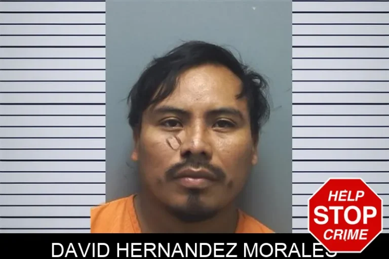 David Hernandez Morales mugshot – Cherokee County , Georgia David Hernandez Morales