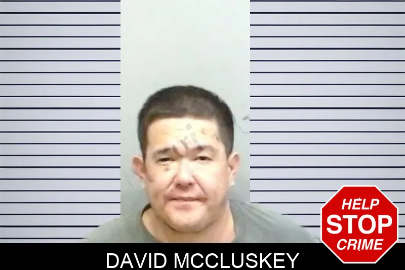 David McCluskey mugshot – Fulton County , Georgia David McCluskey mugshot