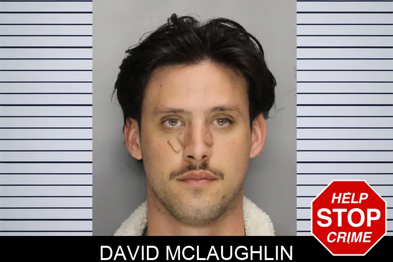 David McLaughlin mugshot – Cobb County , Georgia David McLaughlin mugshot