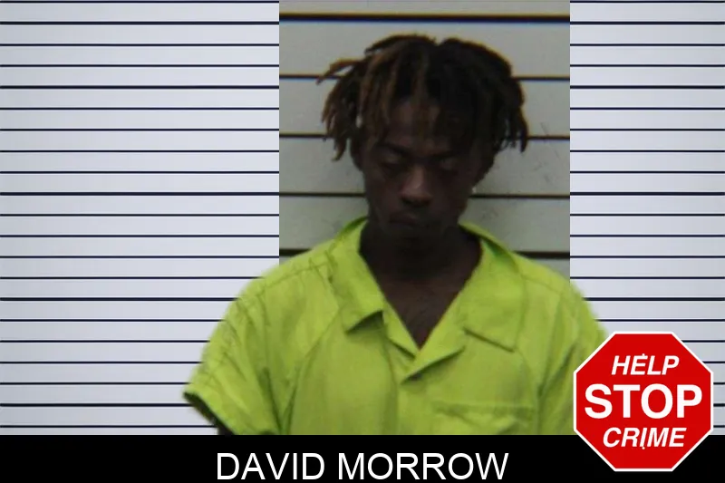 David Morrow Mugshots