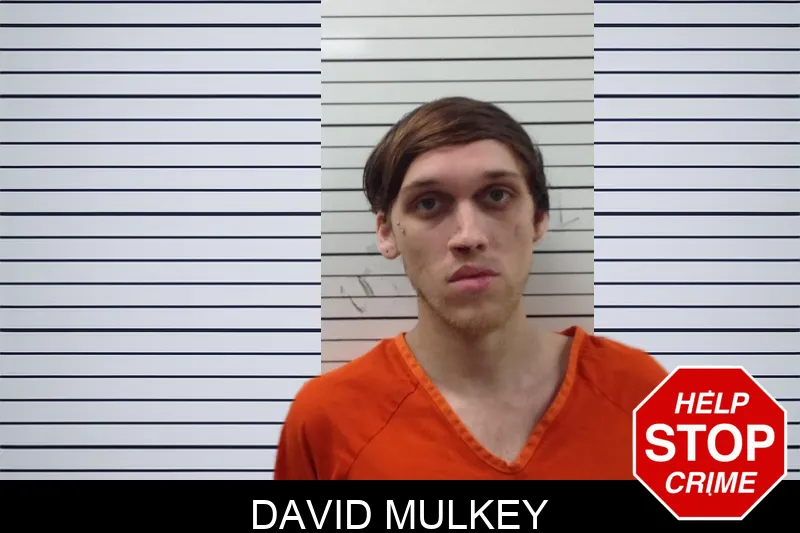 David Mulkey Mugshots